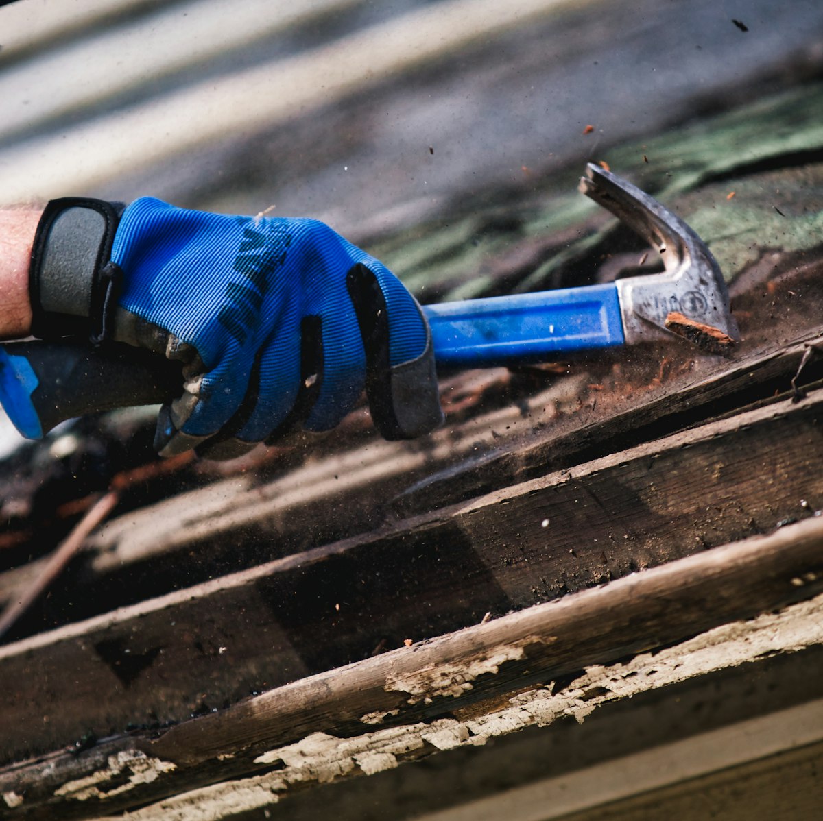 Gloved hand holding a hammer on a shingle roof